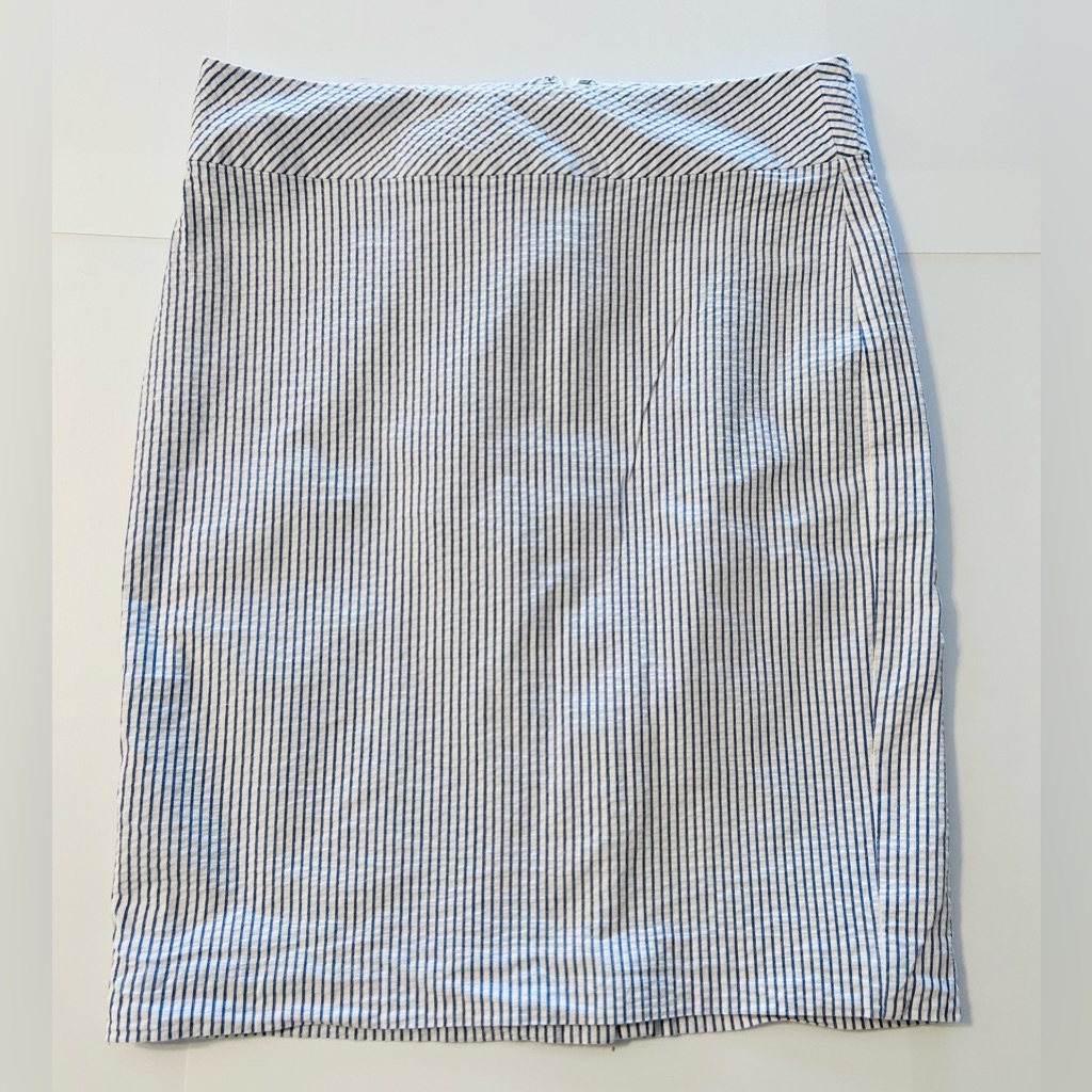 Lord & Taylor Blue And White Pin Striped Pencil Skirt Size 6